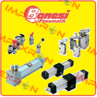 Bonesi Pneumatic