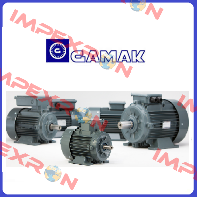 AGM 100L 12a  Gamak