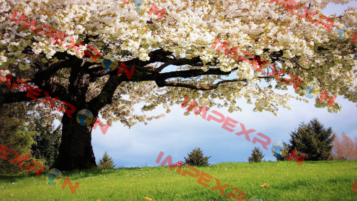 ax-49 De-Test DENEME