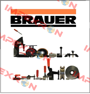 K0104.45 Brauer