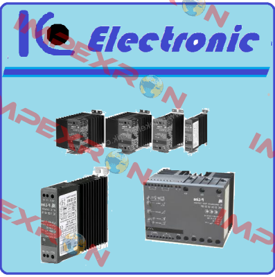 D10/CS IC Electronic (Eltwin)