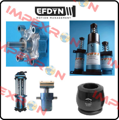 980-4244-4 EFDYN
