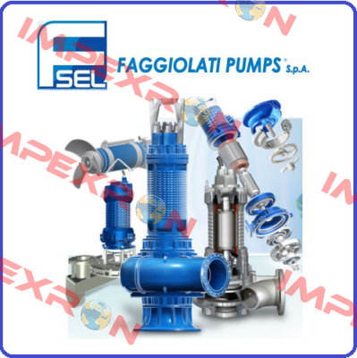 SSM050-AZP06 Faggiolati