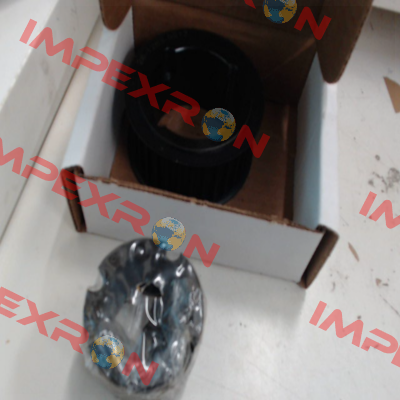 2611149912 Godwin Pumps