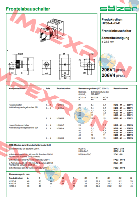 H226-41300-206V4 Salzer