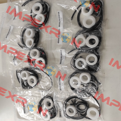 RE305007 Revo