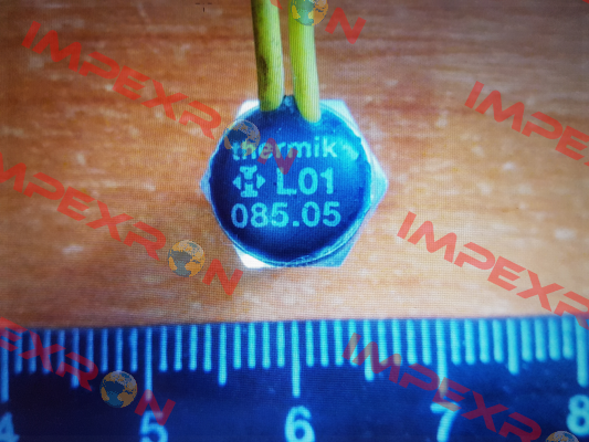 L01.085.05.0560 Thermik