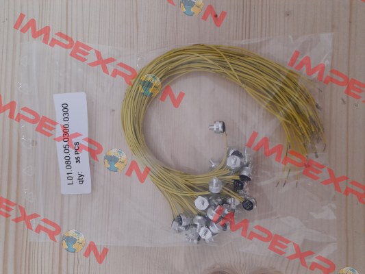 L01.080.05.0300/0300 Thermik