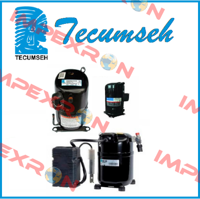 TFH 2480Z  Tecumseh