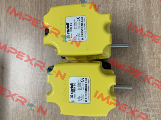 BFRS50R3B-553 Ravioli