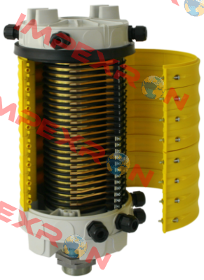 G PRP B12 Ravioli