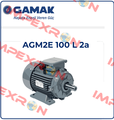 2007 177409 AGM 100 L 2 Gamak